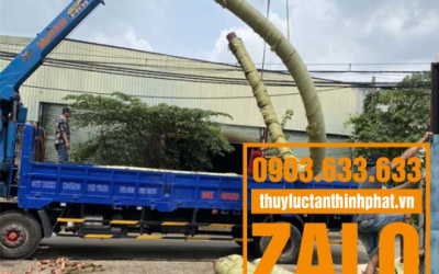 Mua ống cao su lõi thép phi 100 chính hãng ở đâu tại HCM?