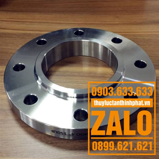 mặt bích inox 304