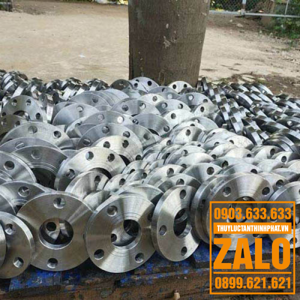 MẶT BÍCH RỖNG